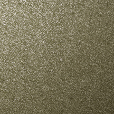 Soft Green Edelman Dream Cow Leather VC02