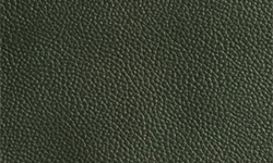 Fjords Forest NL 102 Nordic Line Leather 